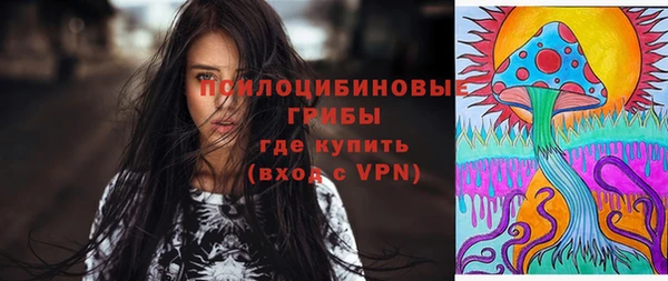 мдпв Пролетарск