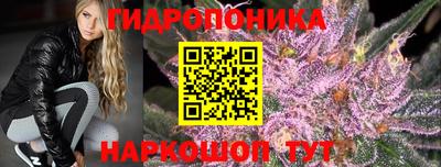 шишки Донецк