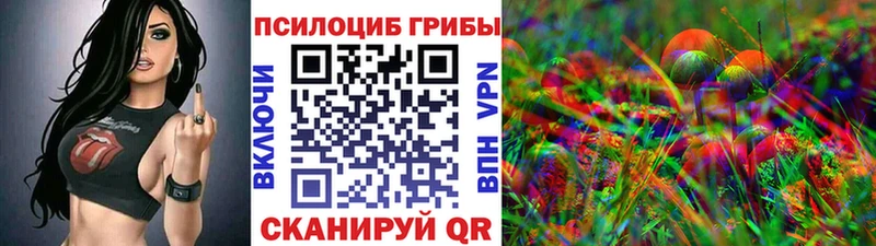 Галлюциногенные грибы Psilocybe  продажа наркотиков  Коряжма 