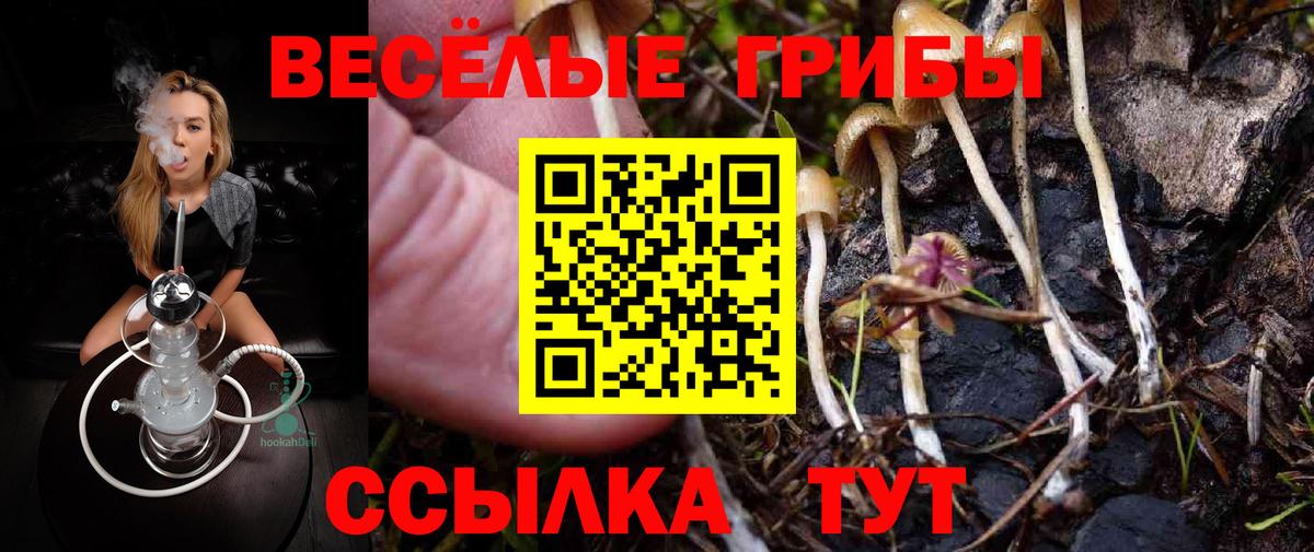 Коряжма  Галлюциногенные грибы Magic Shrooms  Вход с VPN  Псилоцибиновые грибы MAGIC MUSHROOMS 